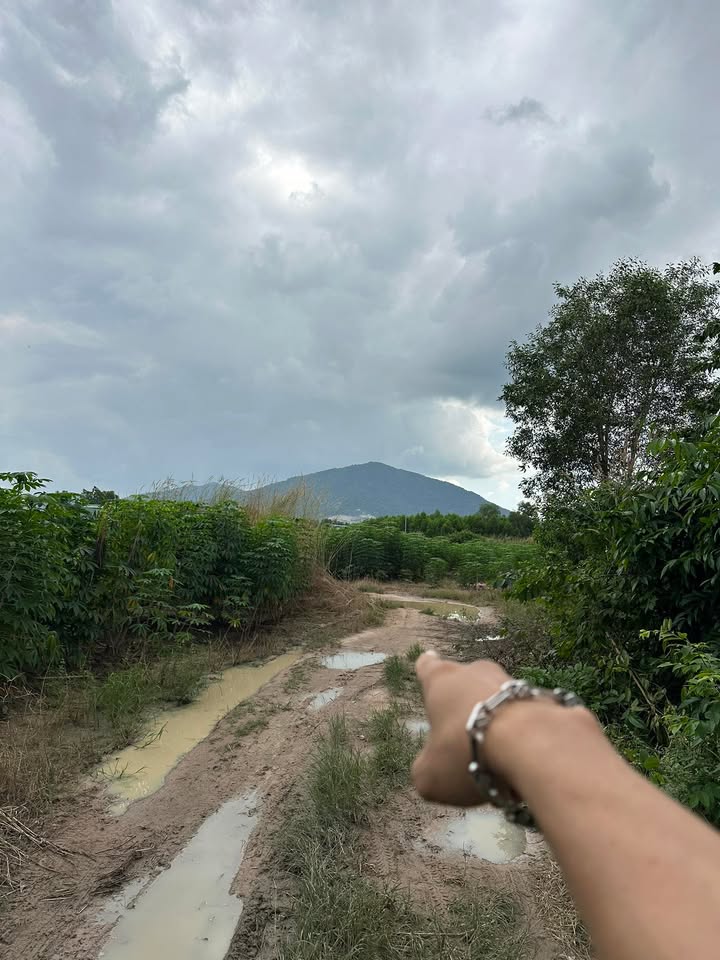 Đất 2 mặt tiền Mỹ Xuân, TP. Phú Mỹ 10.523m² giá 30 tỷ - Cơ hội đầu tư vàng!