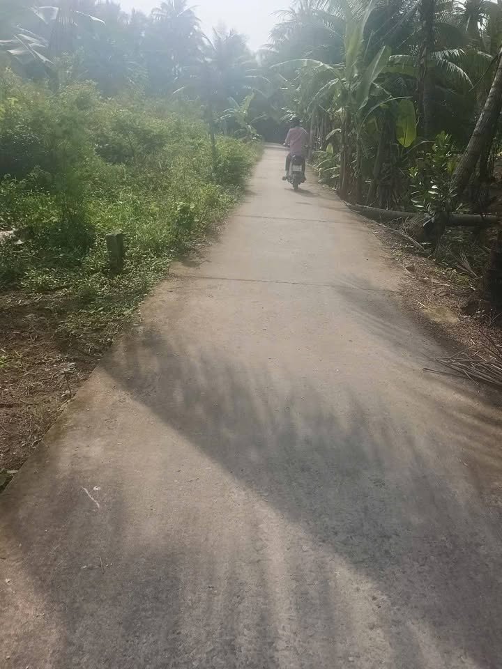 Đất nền thổ cư xã Vĩnh Hựu Gò Công Tây 190m² giá 350 triệu - Nền cao ráo, sổ hồng riêng!