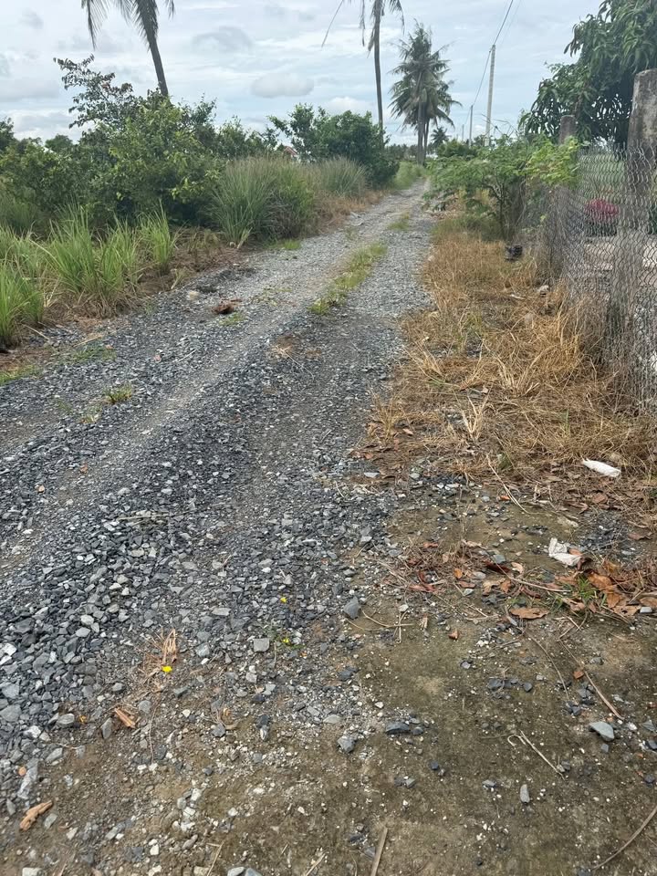 Đất nền ấp Giồng Keo, Tân Phú Đông 699m² giá 550 triệu - Cơ hội đầu tư tuyệt vời!