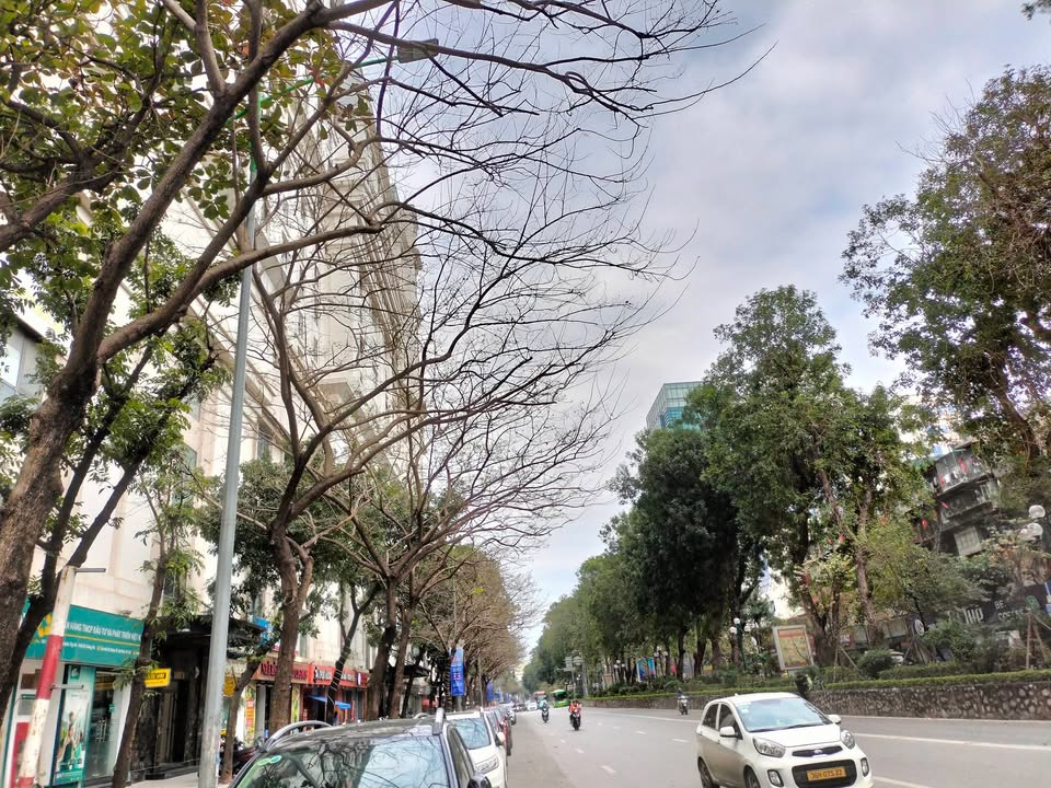 Nhà mặt phố Giảng Võ, Ba Đình 50m² giá 24 tỷ - Đầu tư sinh lời lý tưởng!