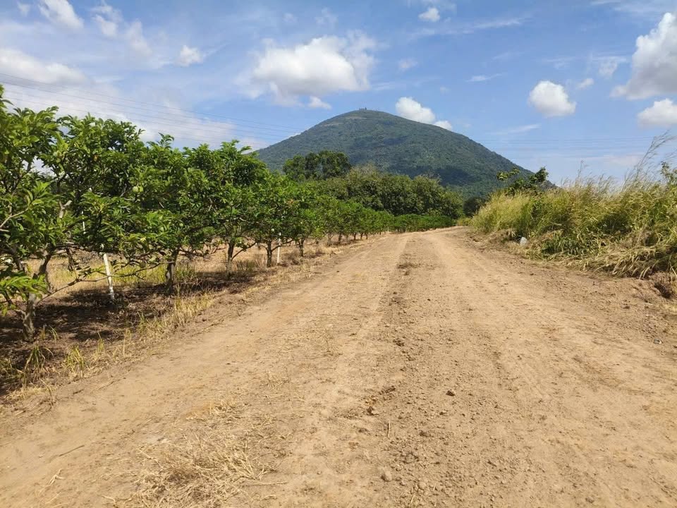 Đất nền Ninh Sơn Tây Ninh 504m² giá chỉ 300 triệu - Nhanh tay sở hữu ngay!