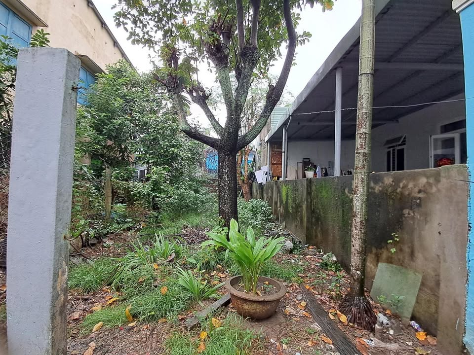 Đất nền Điện Biên Phủ Đà Nẵng 53m² giá 2.79 tỷ - Cơ hội đầu tư tuyệt vời!