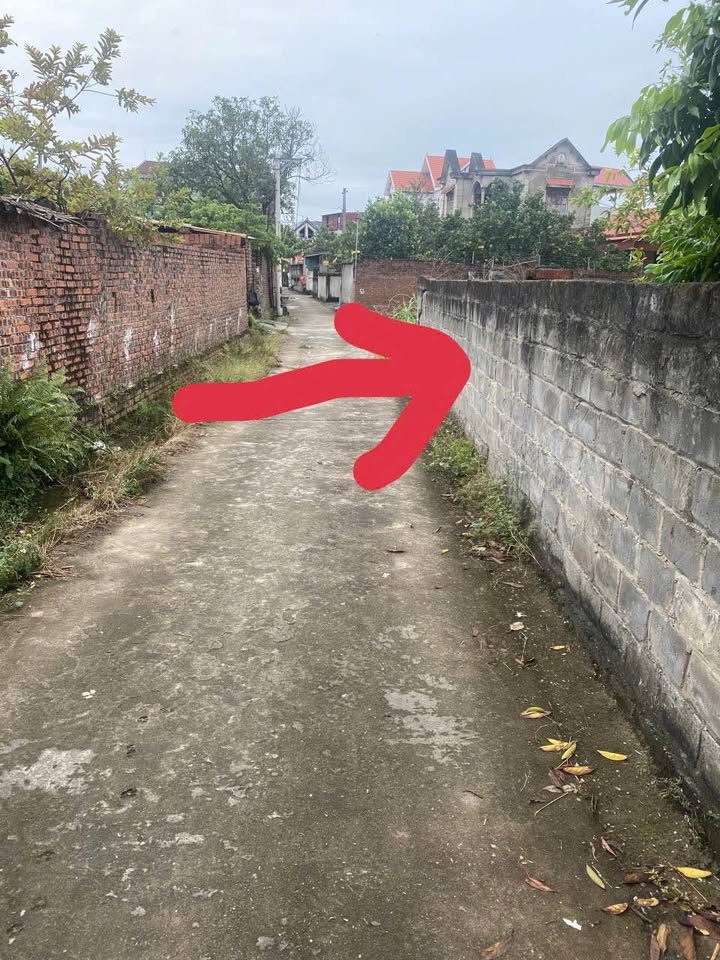 Đất thổ cư Đào Viên Quế Võ 120m² giá chỉ 1.1 tỷ - Vuông vắn, sạch sẽ, ô tô vào tận nơi!