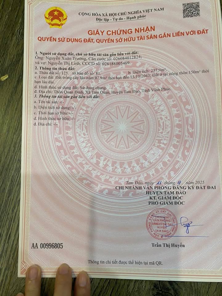 Đất nền Tam Quan Tam Đảo 240m² - Đường nhựa 13m, giá thỏa thuận!