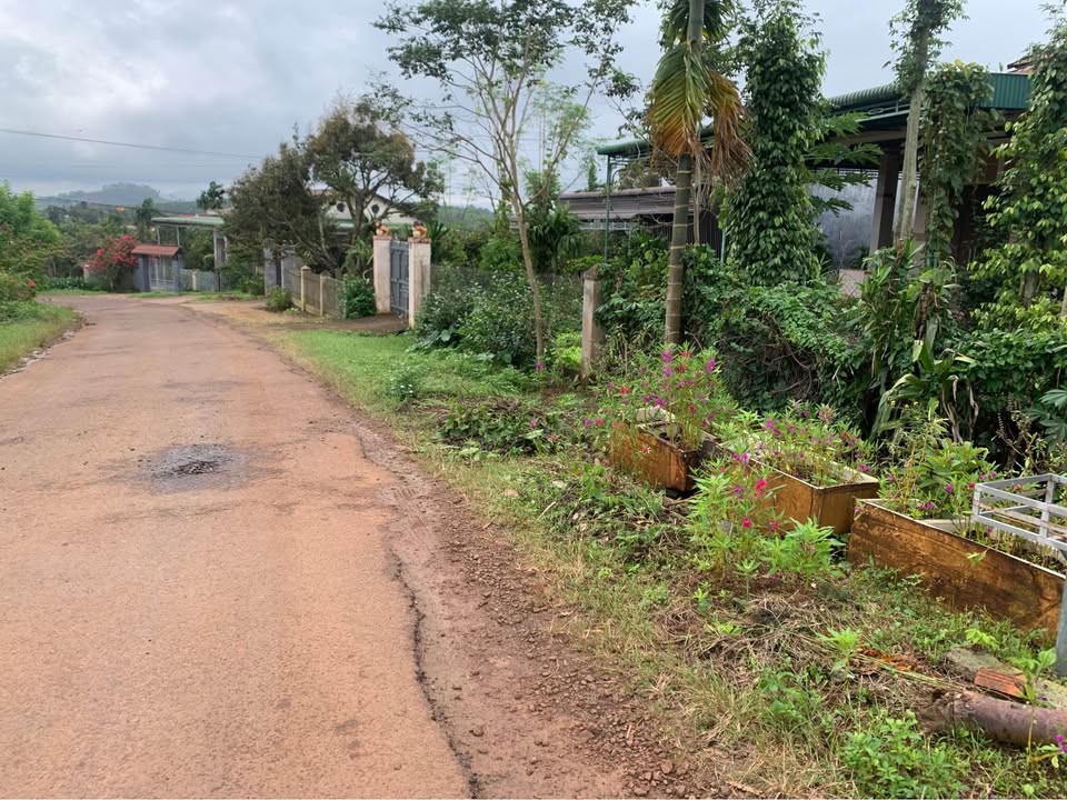 Đất thổ cư đẹp tại Đắk Môl, Đắk Song 522m² giá chỉ 2.2 tỷ - Cơ hội đầu tư sinh lời!