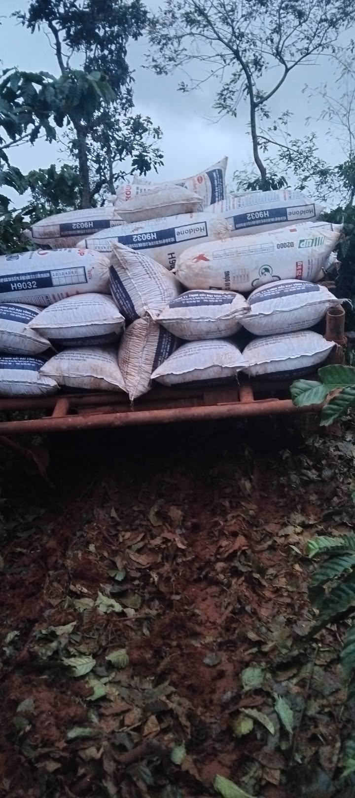 Đất nền 120m² tại Đắk Buk So, Tuy Đức - Giá chỉ 15.6 tỷ VND, phù hợp kinh doanh