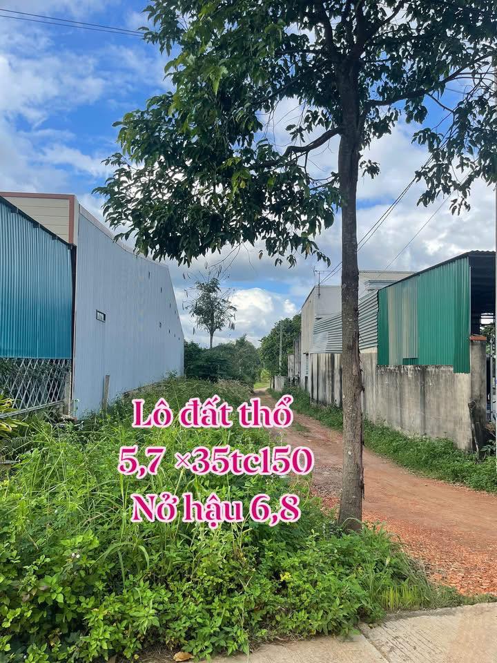 Đất thổ cư Cư Jút 200.85m² giá 1.1 tỷ - Gần bệnh viện và trung tâm hành chính!