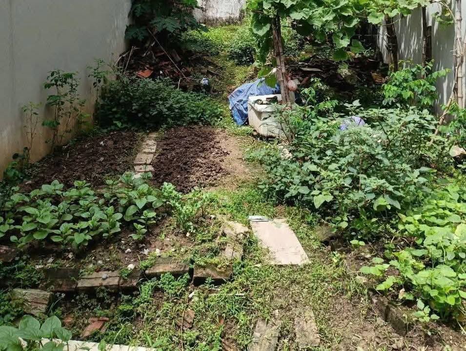 Đất nền Tả Thanh Oai 50m² giá 3 tỷ - Cơ hội đầu tư hiếm có!