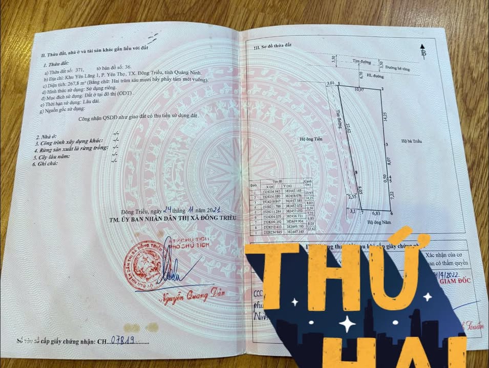 Đất ở đô thị Mạo Khê, Quảng Ninh 268m² - Mặt tiền rộng, đầu tư sinh lời