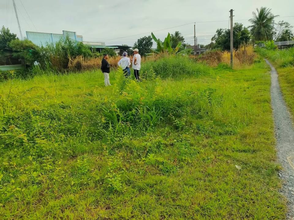 Đất nền đẹp 214m² tại ấp Thạnh Phú, Gò Công Tây - Giá chỉ 300 triệu!