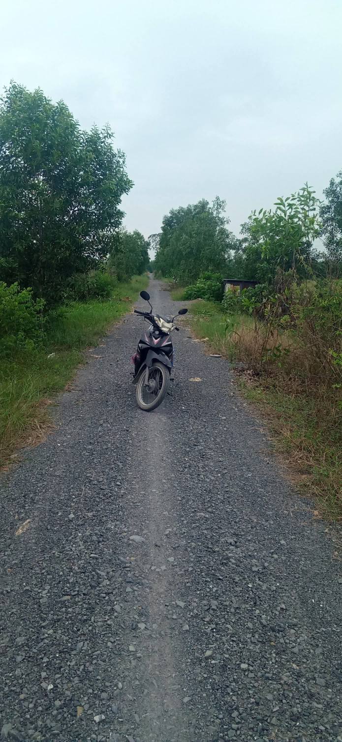 Đất vườn 22,835m² Thạnh Lợi, Bến Lức - Giá 12.6 tỷ, Gần đường ôtô