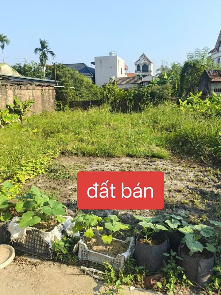 Đất Xâm Thị Hồng Vân 63m² giá 2 tỷ - Khu vực đông dân cư, tiện ích đầy đủ!