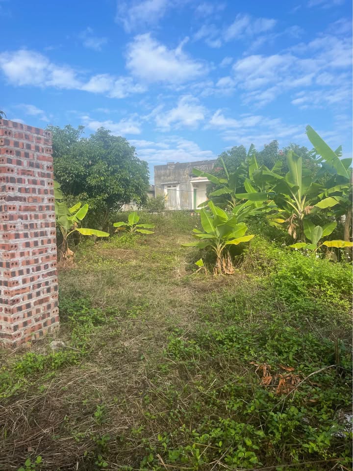 Đất nền Bắc An - Chí Linh 1700m² giá 1 tỷ - View cánh đồng thoáng mát!