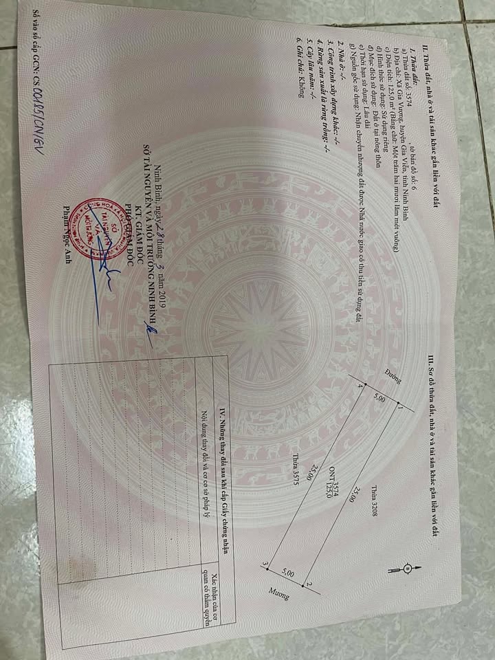 Đất nền Gia Vượng 125m² giá 1.85 tỷ - Đầu tư sinh lời ngay!