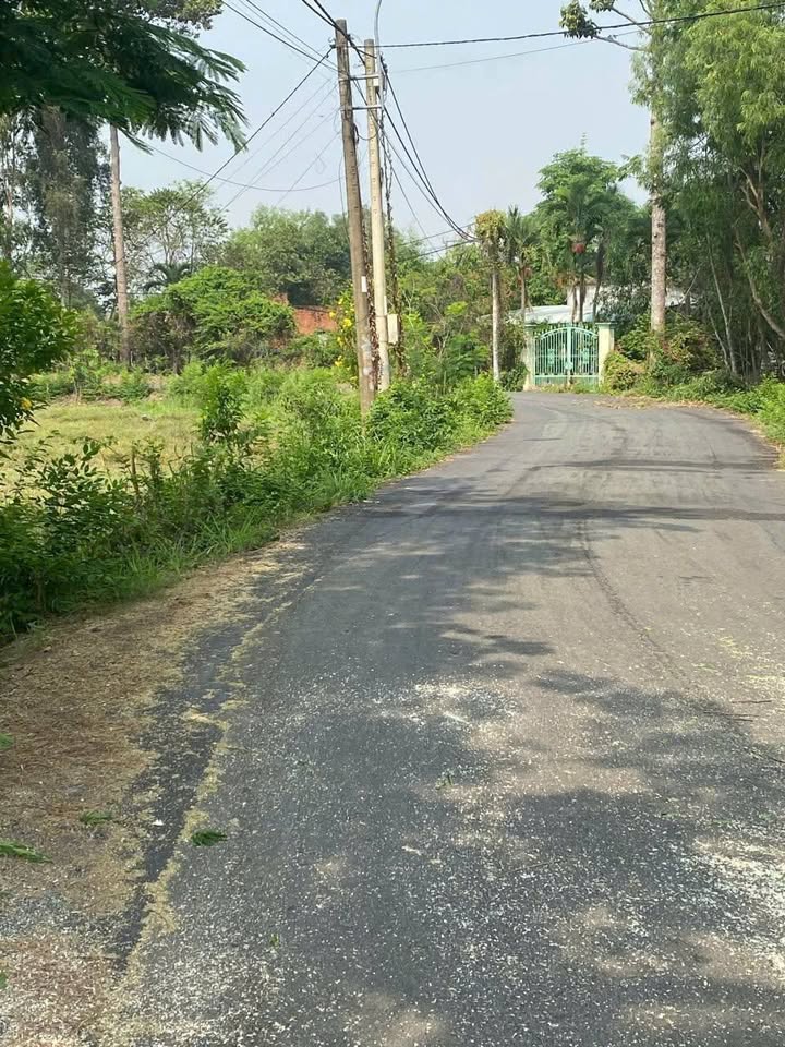 Đất quy hoạch giáo dục Tân Thông Hội 5981m² giá 12.5 tỷ - Vị trí đắc địa gần trung tâm