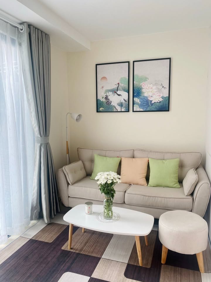 Căn hộ M-One Nam Sài Gòn Quận 7 40m² giá 9.5 triệu - Full nội thất cao cấp!