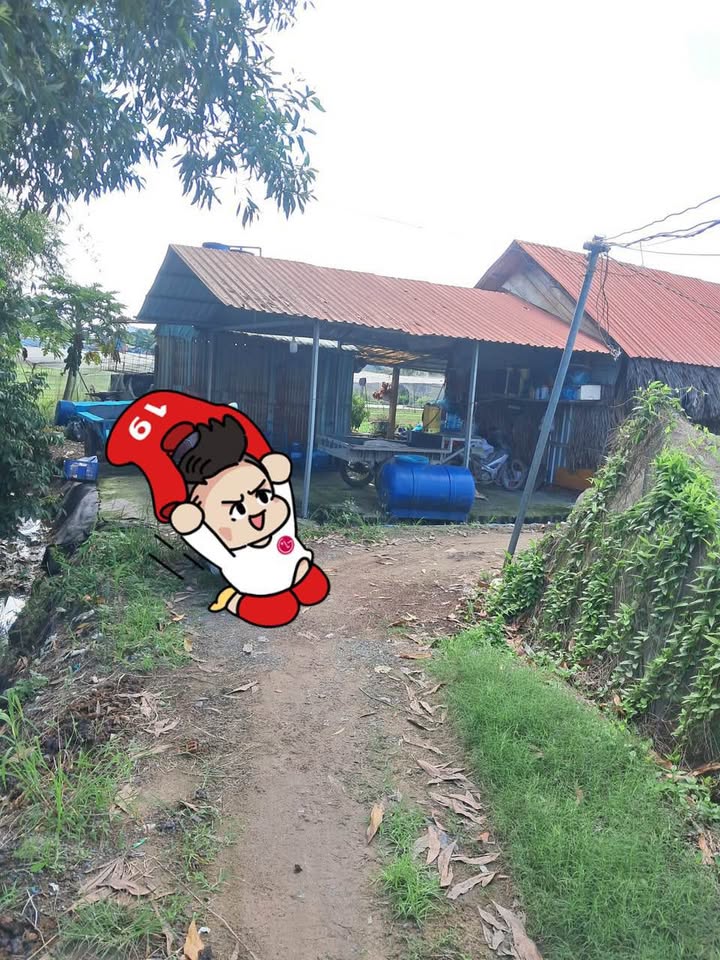 Đất nền Tân Thới Nhì Hóc Môn 4000m² giá 6.4 tỷ - Đường xe tải vào tận nơi!