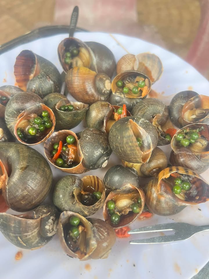 Cho thuê mặt bằng 20m² tại đường 764, Cẩm Mỹ - Giá chỉ 10 triệu/tháng!