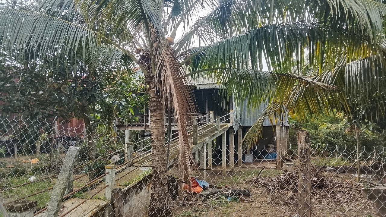 Đất nền mặt tiền đường Đal, xã Vĩnh Hậu, An Giang 321m² - Giá chỉ 500 triệu!