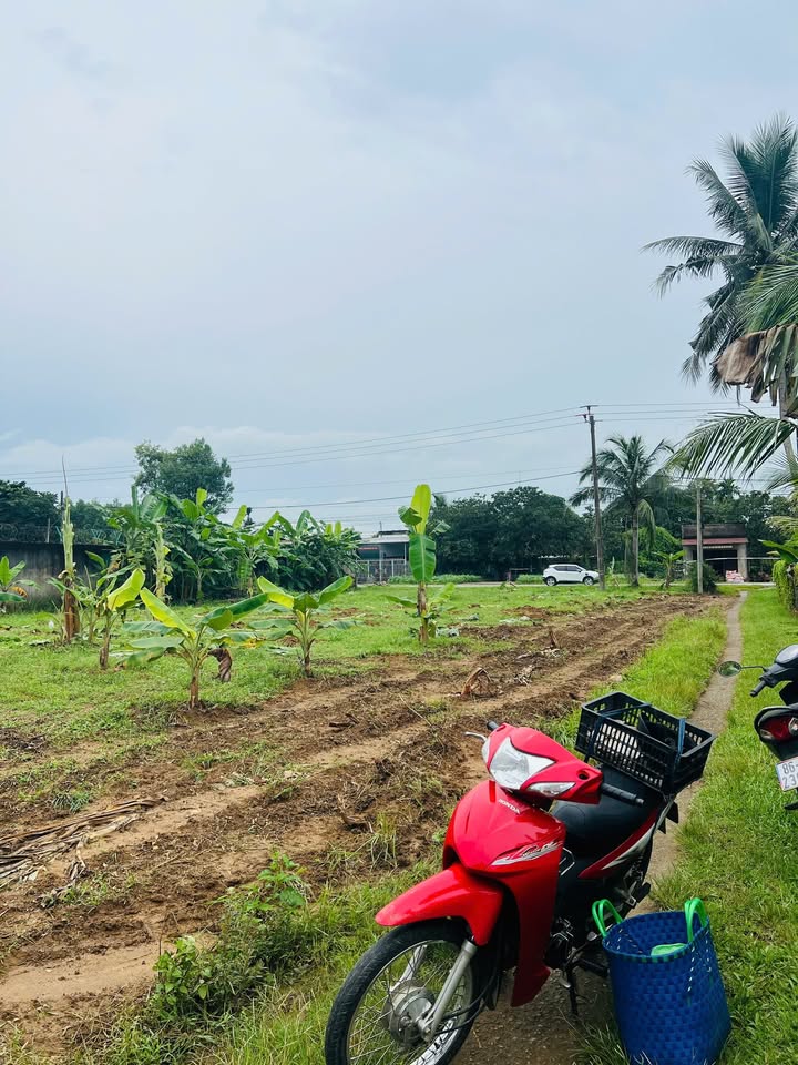 Đất nền Đức Phú Tánh Linh 360m² giá chỉ 110 triệu - Cơ hội đầu tư hiếm có!