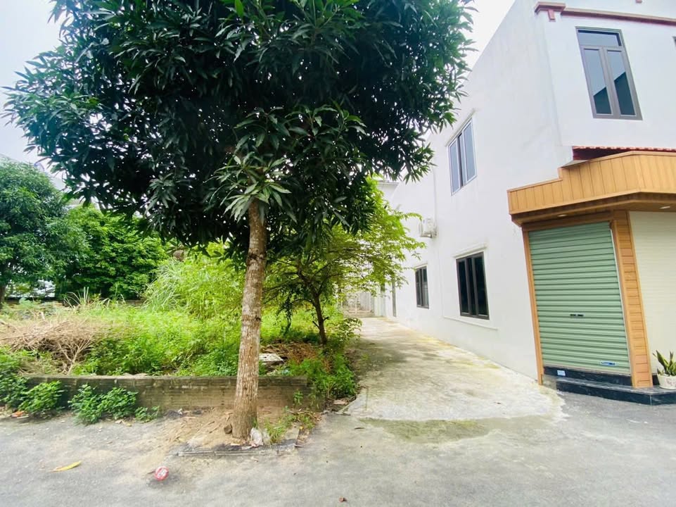 Bán đất lô góc Tổ 4, Quang Trung, Phủ Lý 74m² - Tiềm năng đầu tư sinh lời!