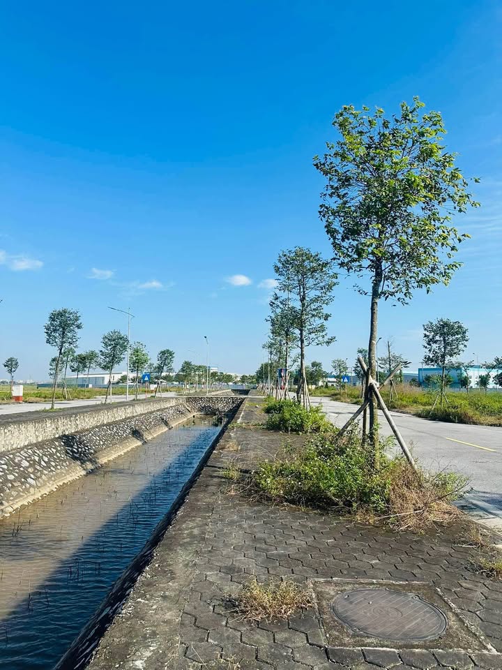 Đất nền Nhân Chính 100m² giá 1.7 tỷ - View vườn hoa thoáng mát!