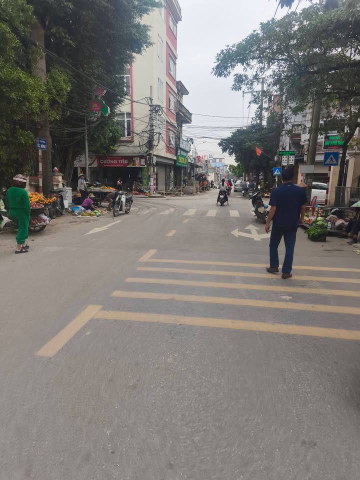 Đất thổ cư Bắc Hồng, Đông Anh 66m² giá 3 tỷ - Vị trí đắc địa, giao thương thuận lợi!