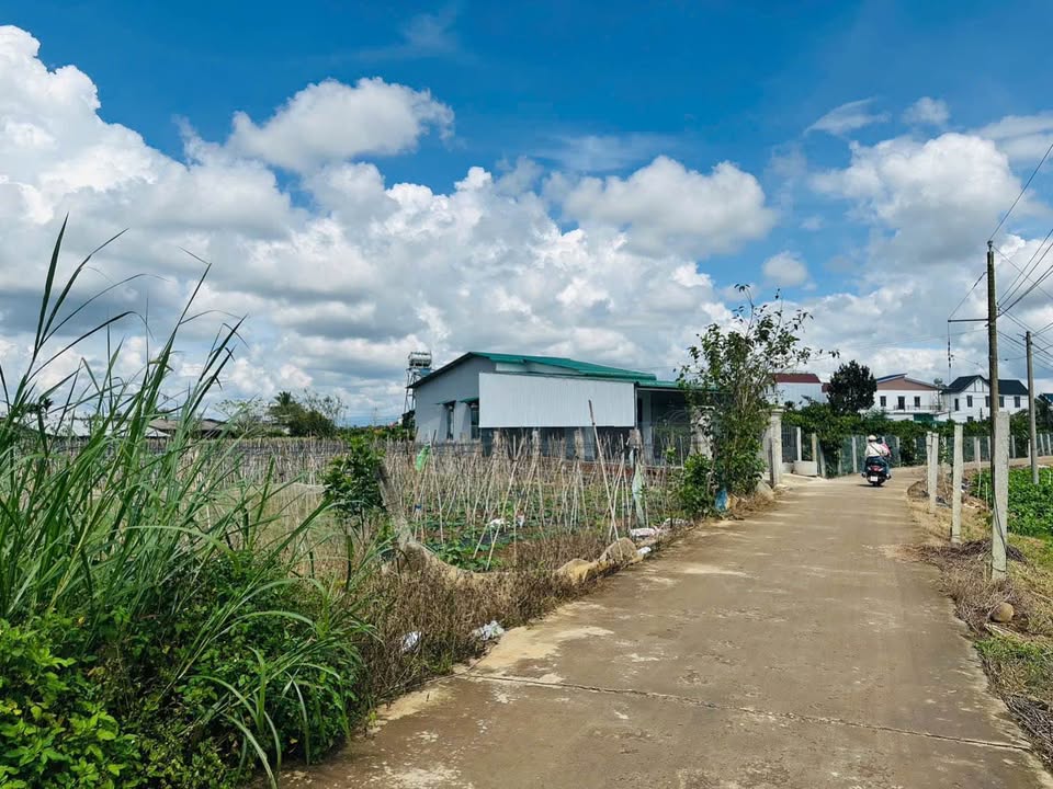 Nhà cấp 4 Tân Đà, Tân Hội 1000m² giá 2.6 tỷ - Cơ hội đầu tư tuyệt vời!