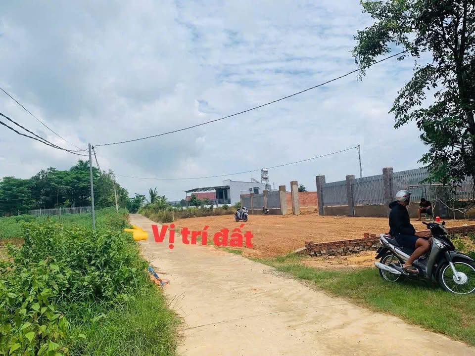 Đất nền 250m² tại xã Định Quán, Đồng Nai - Giá 550 triệu, đầu tư sinh lời!