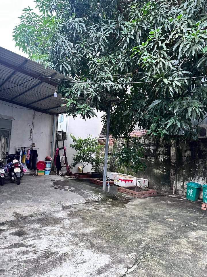 Đất nền 154m² Phó Đức Chính, Sơn Trà - Cực hợp xây căn hộ dịch vụ