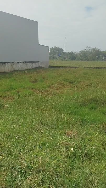 Đất nền xã Minh Khôi, Nông Cống 125m² giá chỉ 9xx triệu - Cơ hội đầu tư hấp dẫn!