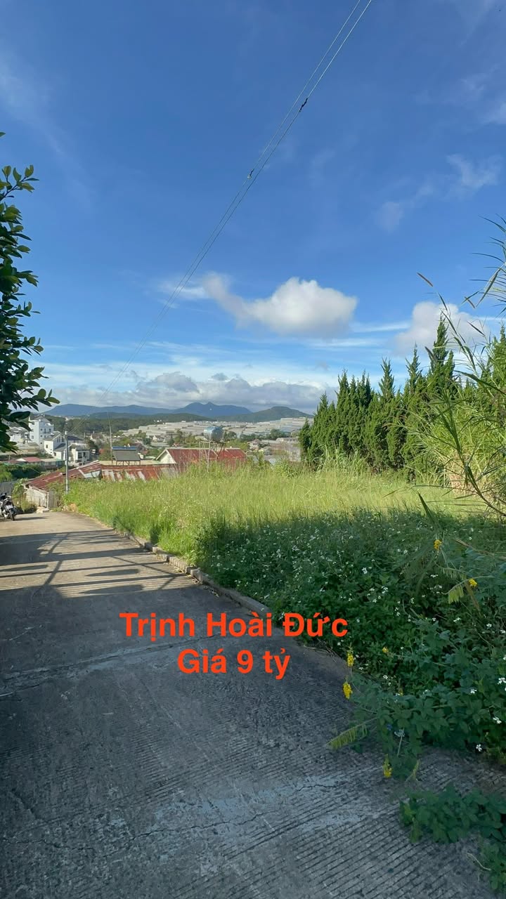 Bán lô đất đường Trịnh Hoài Đức, phường Xuân Trường, Đà Lạt 256m² - View đồi cao đẹp!