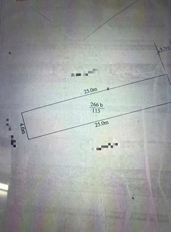 Đất nền góc mặt ngõ Bùi Thị Tự Nhiên, Hải An, 95m² - Cơ hội đầu tư sinh lời!