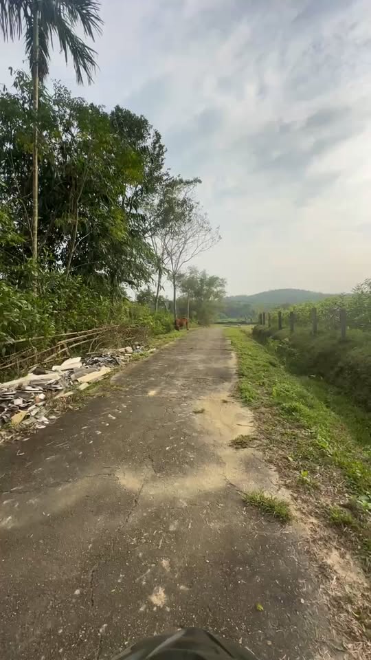 Đất nền Hương Xuân Hương Khê 1100m² giá 1.5 tỷ - Cơ hội đầu tư tuyệt vời!