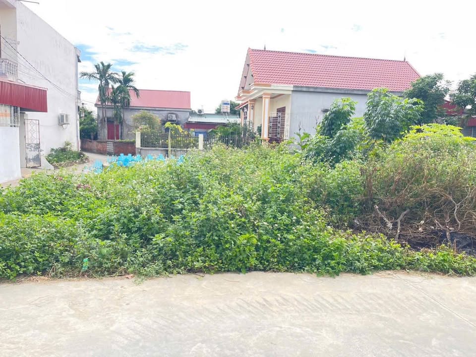 Đất nền An Thắng, An Lão, Hải Phòng 86m² giá chỉ 1 tỷ - Cơ hội sở hữu lô đẹp!