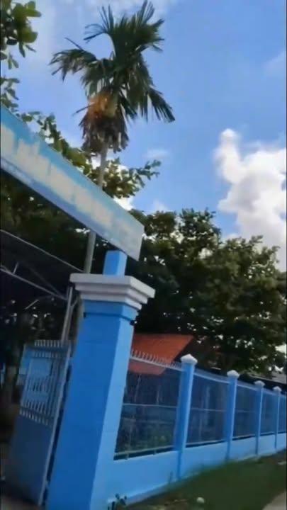 Đất nền mặt tiền xã Tài Văn Trần Đề Sóc Trăng 200m² - Đầu tư sinh lời ngay!