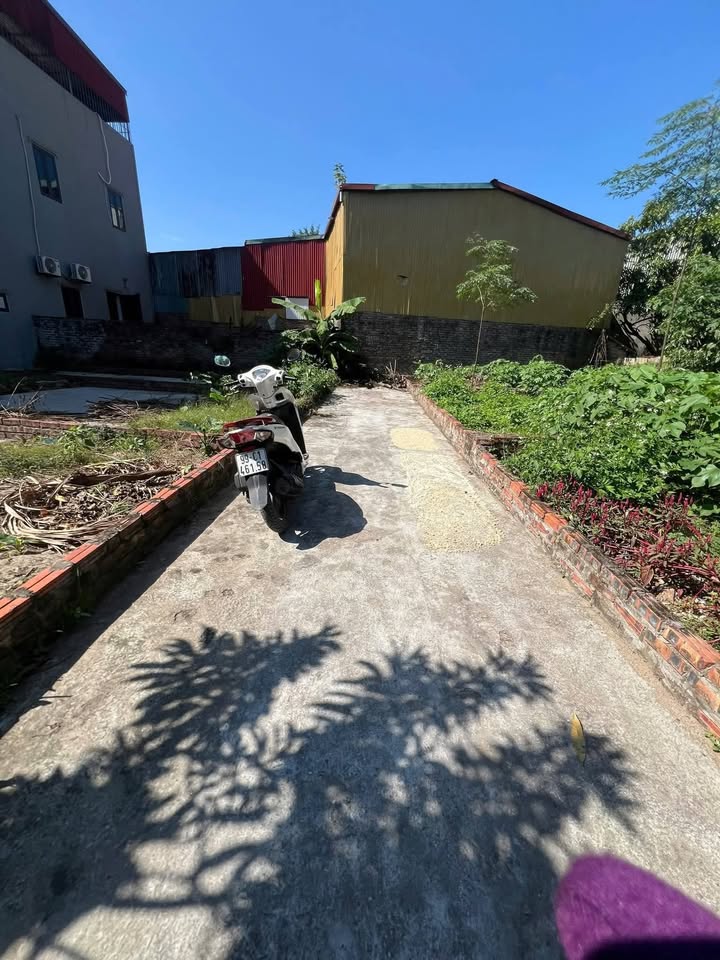 Đất nền Phù Khê, Từ Sơn 56m² giá 1.55 tỷ - Hút tài lộc, vị trí đẹp!