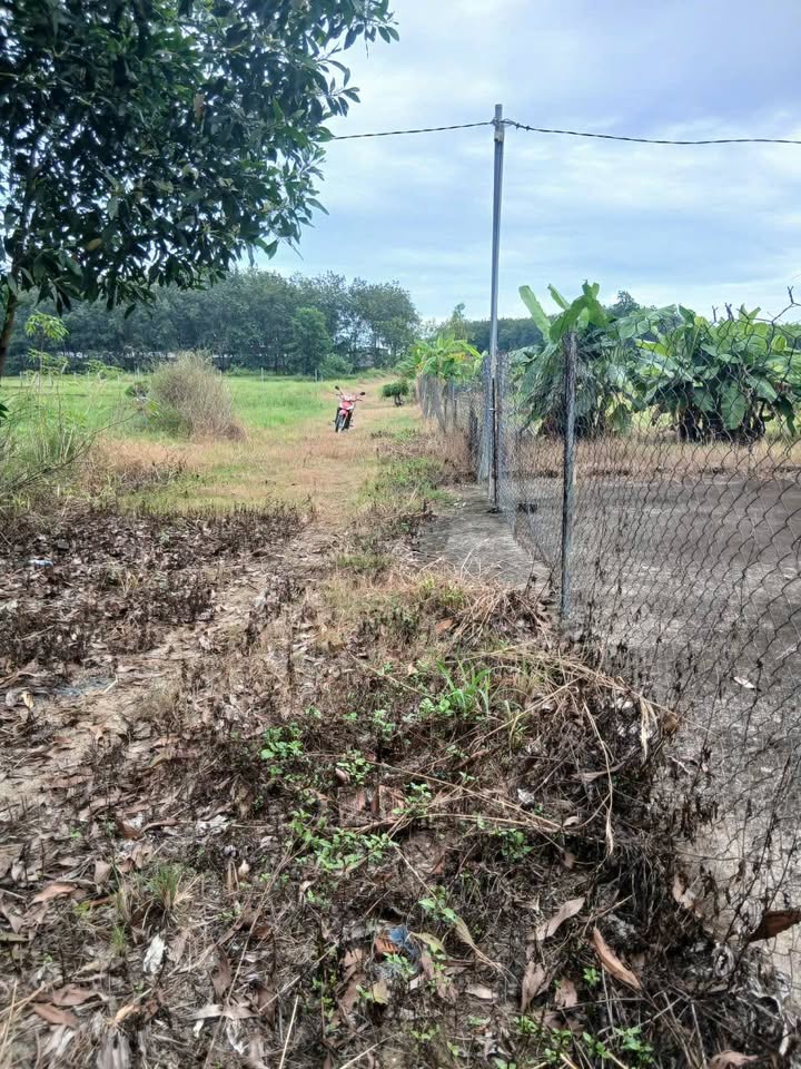 Đất nền Tân Triều Vĩnh Cửu 1360m² giá 3.4 tỷ - Sổ đỏ chính chủ, bám đường hiện hữu!