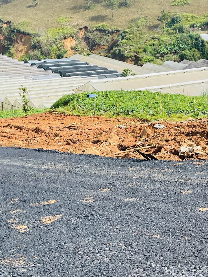 Đất đường nhựa ô tô tại Phường 8 Đà Lạt 65m² giá 1 tỷ - Cơ hội đầu tư hấp dẫn!
