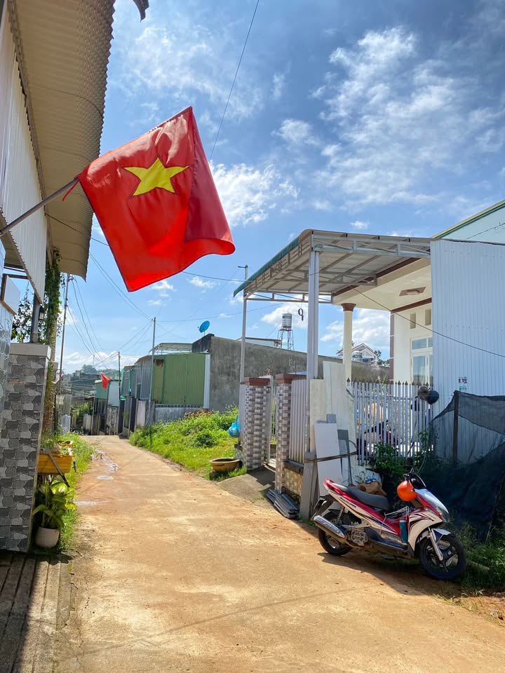 Đất nền Bảo Lộc 1162m² giá 5 tỷ - Mặt tiền 60m, thổ cư 550m²!