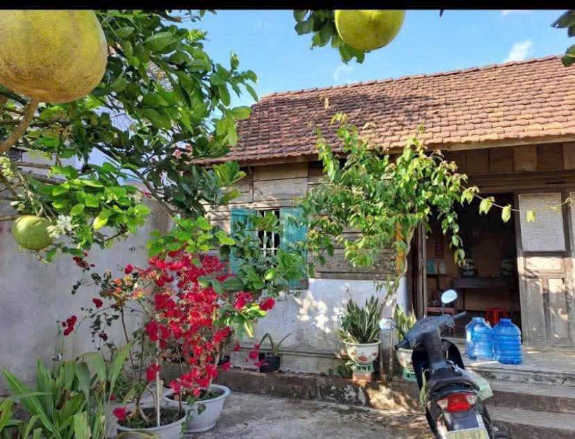 Đất tặng nhà cũ tại Đại Lào Bảo Lộc 320m² giá 1.5 tỷ - Cơ hội đầu tư hấp dẫn!