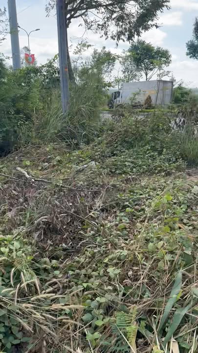 Đất thổ cư xã Hà Mòn, Đăk Hà 424m² giá chỉ 1 tỷ - Đầu tư sinh lời ngay!