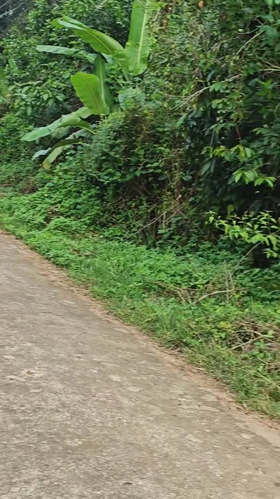 Đất nền xã Phú Hòa 1056m² giá 850 triệu - Chính chủ cần bán gấp!