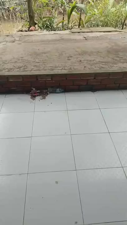 Nhà góc 2 mặt tiền Tân Hạnh, Vĩnh Long 120m² giá 790 triệu - Cơ hội sở hữu ngay!