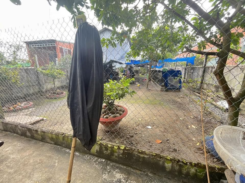 Đất nền ấp Bầu Vừng Phước Trạch 310m² giá 650 triệu - Cơ hội đầu tư hấp dẫn!