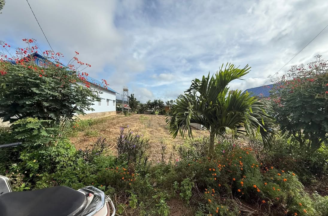 Đất nền thổ cư 360m² tại Thôn Sao Mai, Đơn Dương - Giá chỉ 699 triệu!