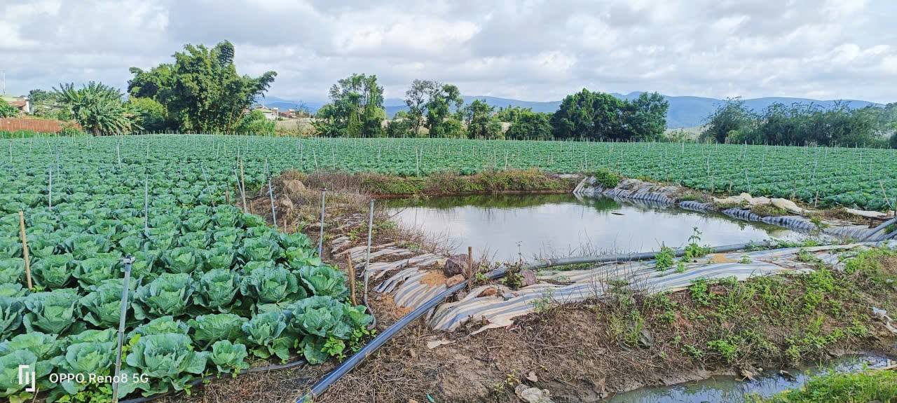 Đất nền 1ha tại Tu Tra Đơn Dương 7.5 tỷ - Cơ hội đầu tư tốt!