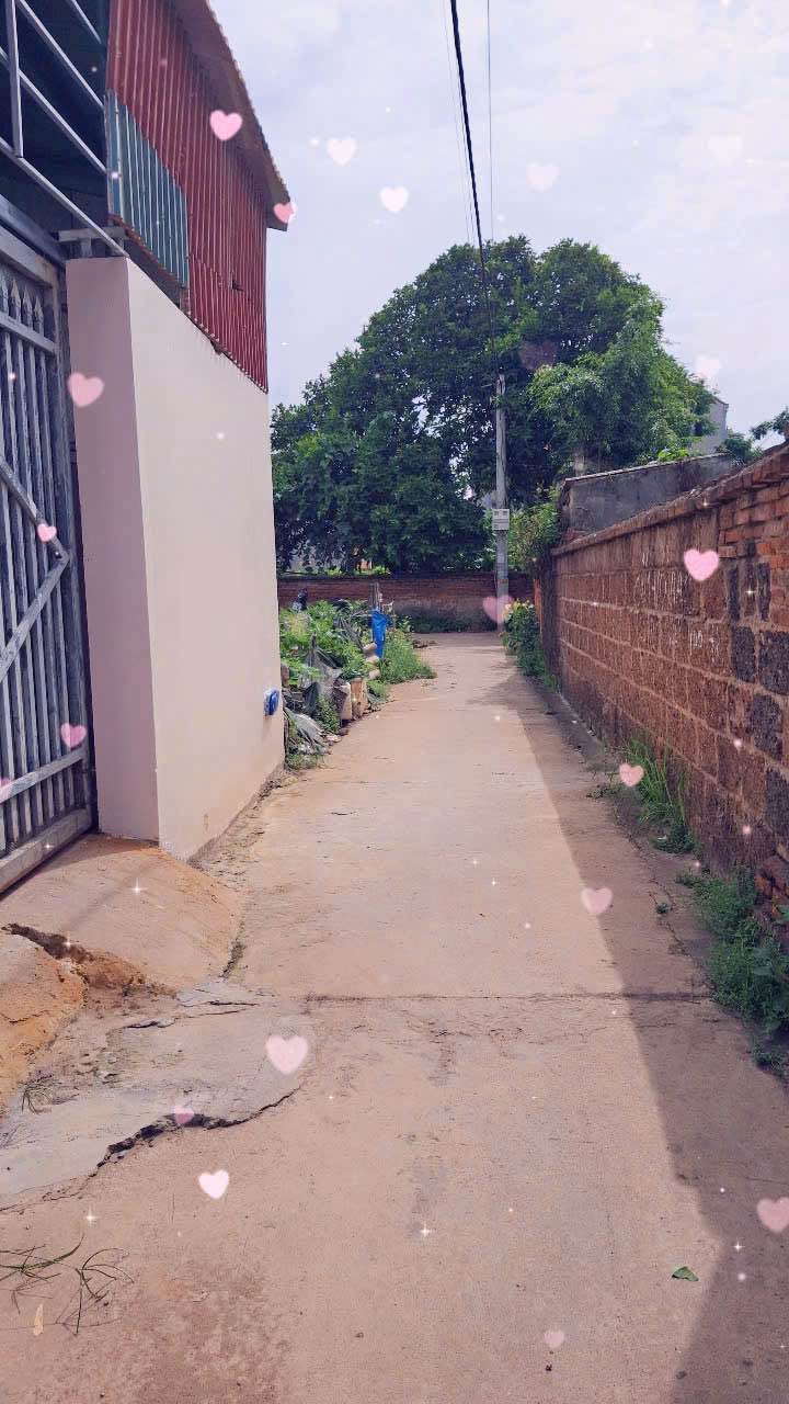 Đất nền Trí Quả, Thuận Thành 73,3m² giá 1,9 tỷ - Vị trí đắc địa 2 đầu đường!