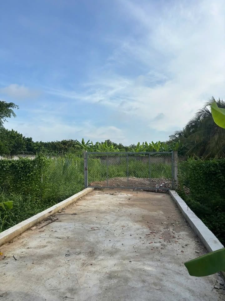 Đất nền thổ cư Đạo Thạnh, Mỹ Tho 300m² giá 3.2 tỷ - Mặt tiền đường nhựa rộng rãi!