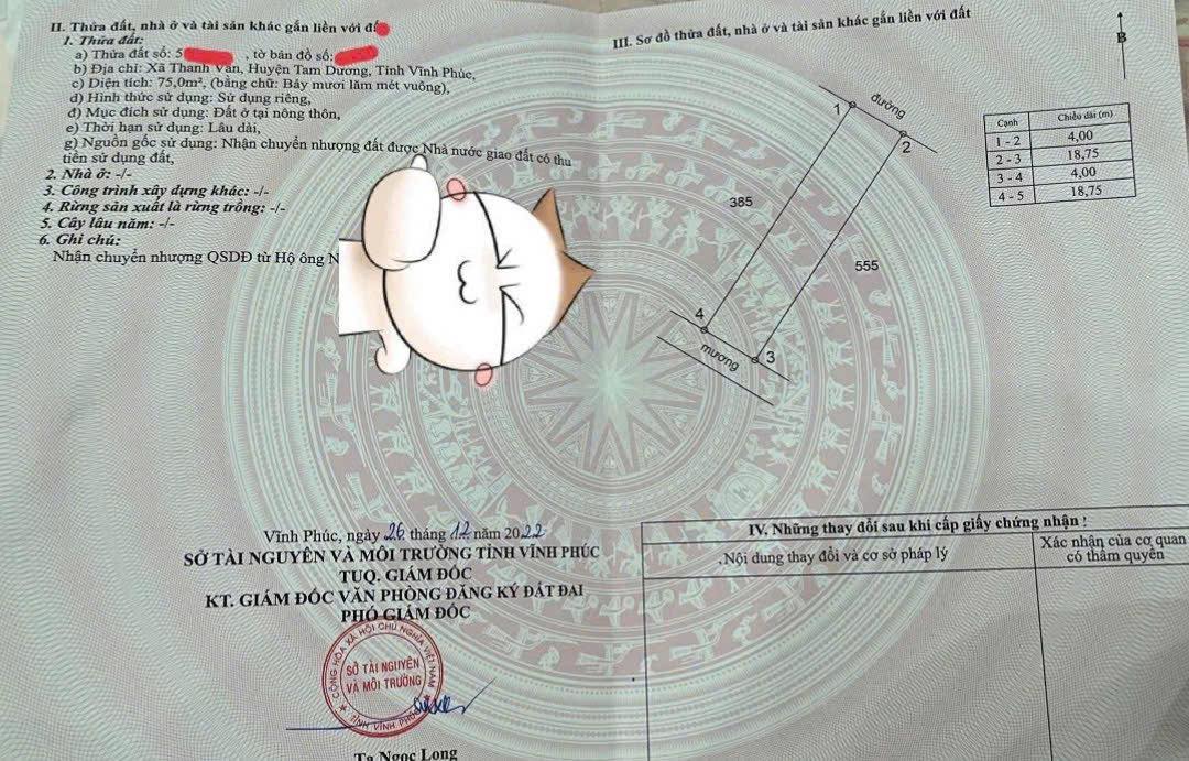 Đất thổ cư 75m² tại Thanh Vân, Tam Dương giá chỉ 800 triệu - Đầu tư sinh lời ngay!